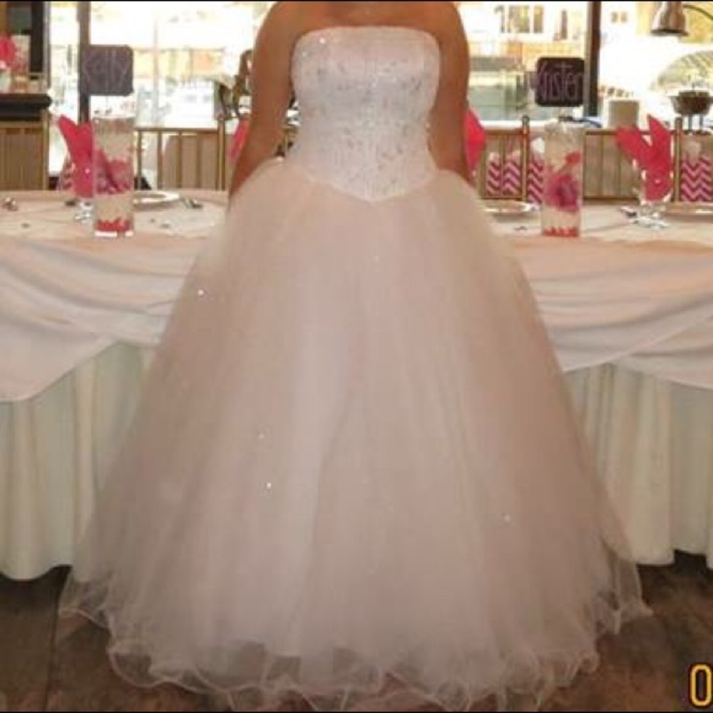 David’s Bridal Wedding Dress - Picture 5 of 6